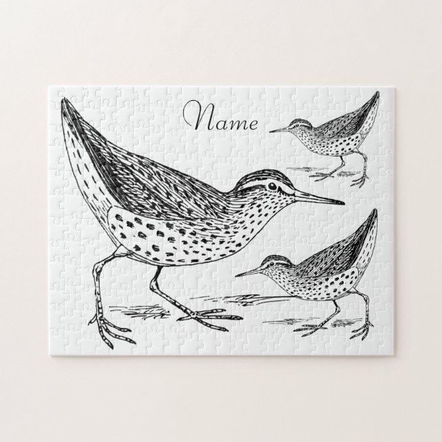 Quebra-cabeça Sandpiper Shorebird Thunder_Cove (Horizontal)