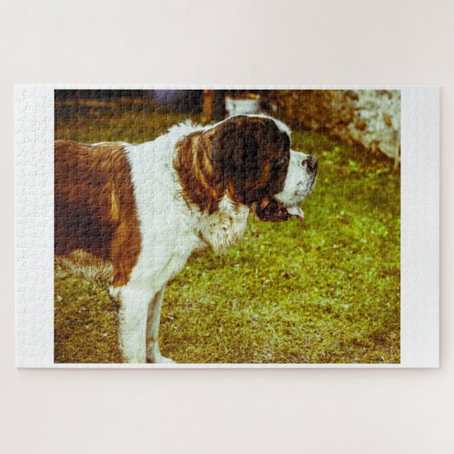 Quebra-cabeça Santo Bernard Dog Jigsaws. (Horizontal)