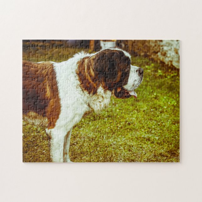 Quebra-cabeça Santo Bernard Dog Jigsaws. (Horizontal)