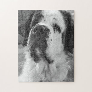 Quebra-cabeça Santo branco, Bernard dog