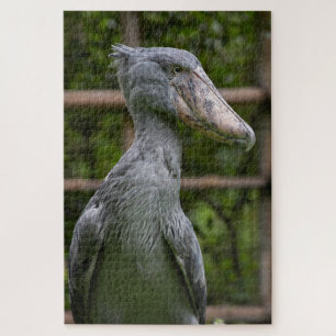 Quebra-cabeça Sapato (Balaeniceps rex)