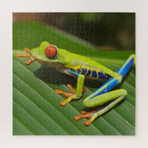Quebra-cabeça Sapo de Árvore Selvagem Colorida Verde