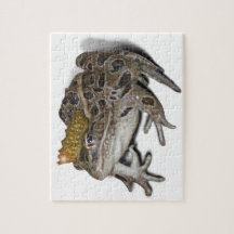 Sapo Prince (Adicionar seu texto)