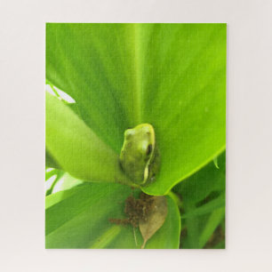 Quebra-cabeça Sapo Verde