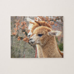 Quebra-cabeça Sarah da alpaca