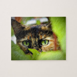 Quebra-cabeça Sasha