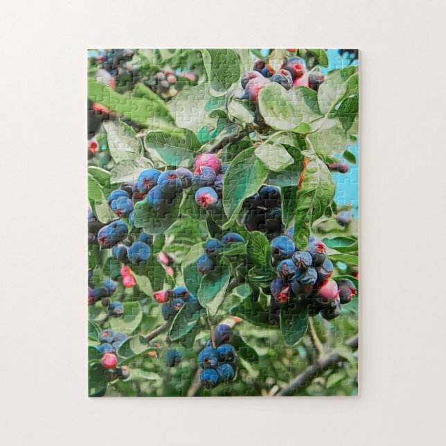 Quebra-cabeça Saskatoon (Vertical)