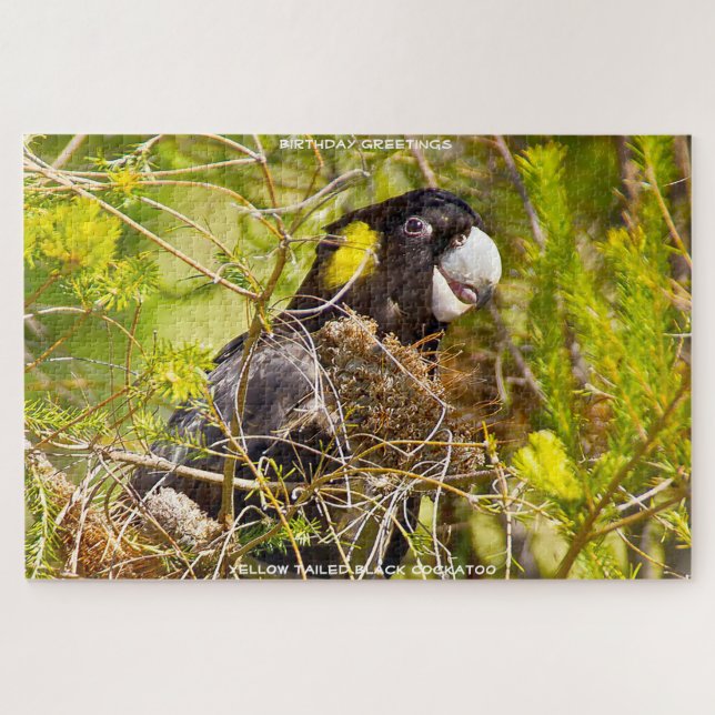 Quebra-cabeça Saudações de Aniversário Cacatua-preta-de-cauda-am (Horizontal)