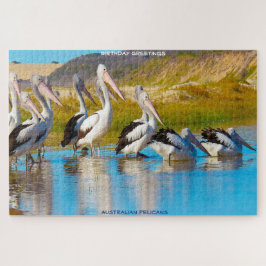 Quebra-cabeça Saudações de Aniversário Pelicanos Australianos