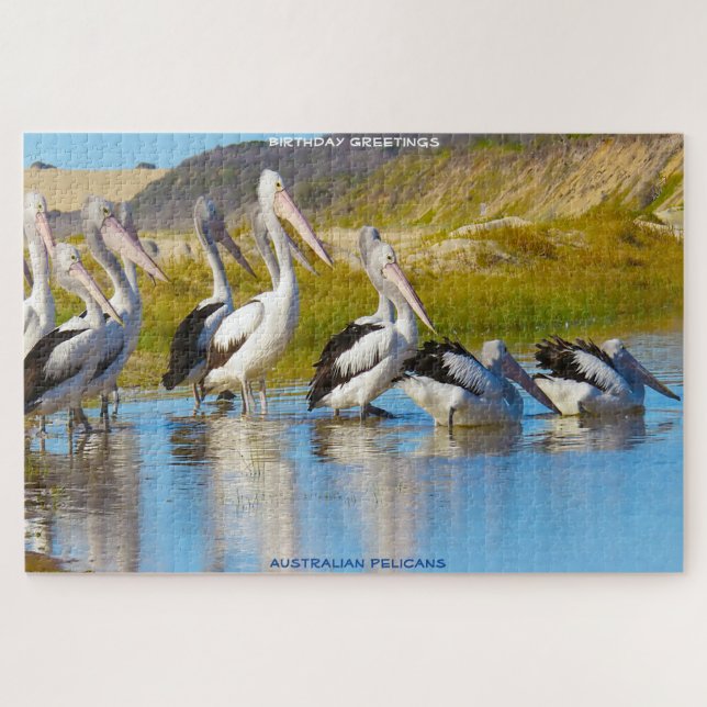 Quebra-cabeça Saudações de Aniversário Pelicanos Australianos (Horizontal)