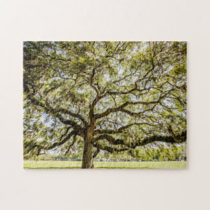 Quebra-cabeça Savannah Mighty Oak Souvenir Desafiando Quebra-cab