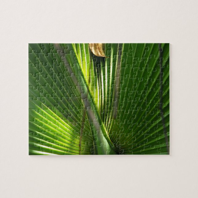 Quebra-cabeça Saw Palmetto Foto Closeup (Horizontal)