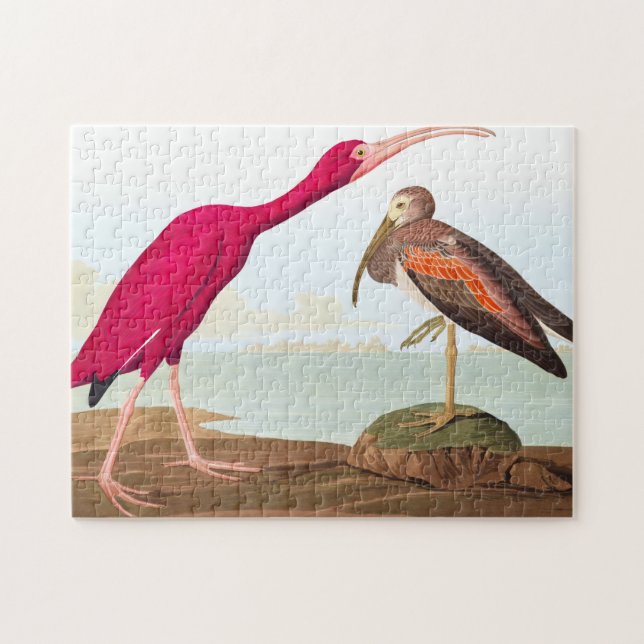 Quebra-cabeça Scarlet ibis por John James Audubon (Horizontal)