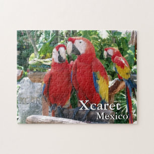 Quebra-cabeça Scarlet Macaws