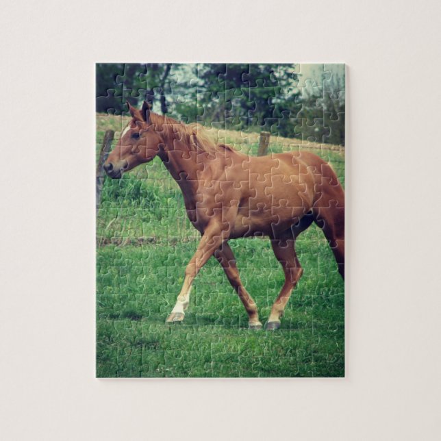 Quebra-cabeça Scotch (Vertical)