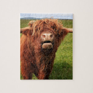 Quebra-cabeça Scottish país de alto Cattle - Scotland