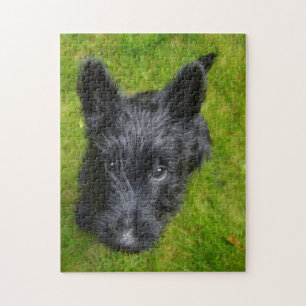 Quebra-cabeça Scottish Terrier Jigsaws.