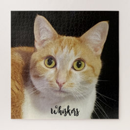 Quebra-cabeça Script Moderno de Pet Cat do Modelo de Fotografia