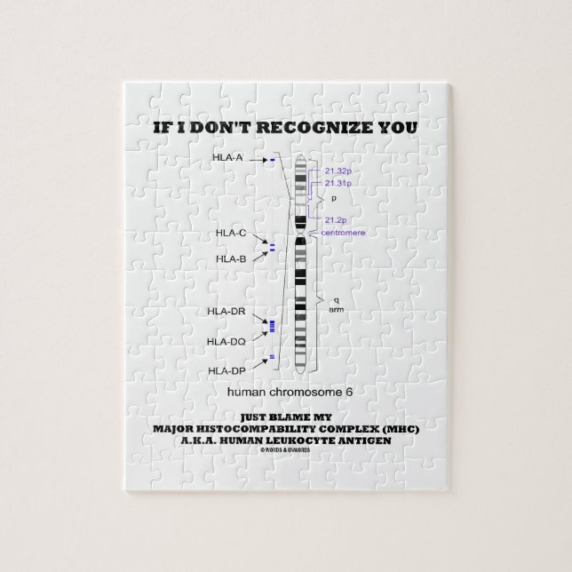 Quebra-cabeça Se eu não reconheço você apenas responsabiliza (Vertical)