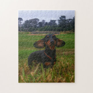 Quebra-cabeça Se você o constrói virão