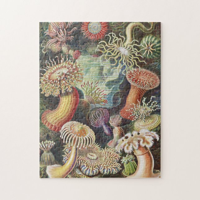 Quebra-cabeça Sea Anemones, Actiniae Seeanemonen Ernst Haeckel (Vertical)