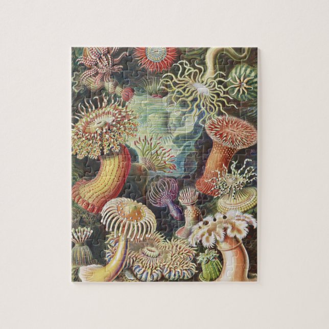 Quebra-cabeça Sea Anemones, Actiniae Seeanemonen Ernst Haeckel (Vertical)