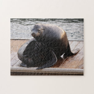 Quebra-cabeça Sea Lion, Pier 39, San Francisco Jigsee quebra-cab