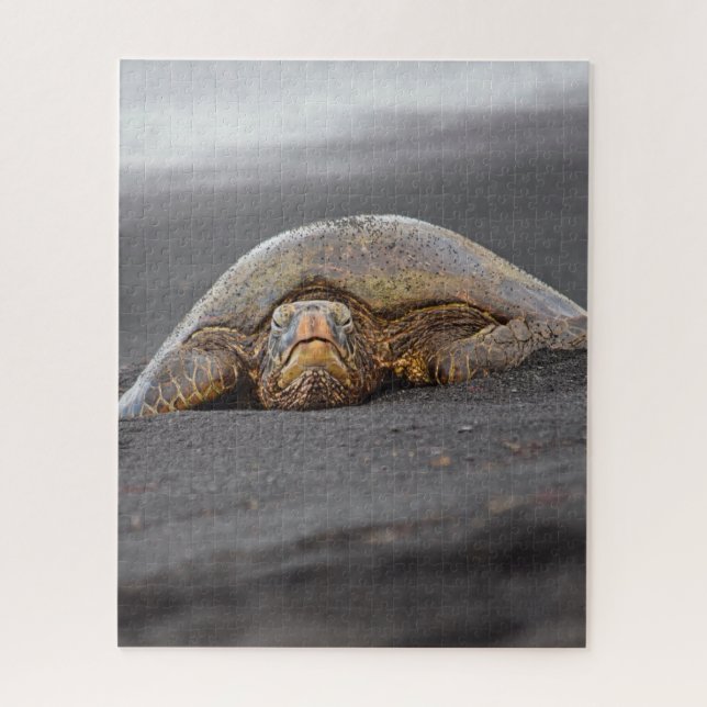 Quebra-cabeça Sea Turtle Black Sand Beach Hawaii - 16x20-520 pc (Vertical)