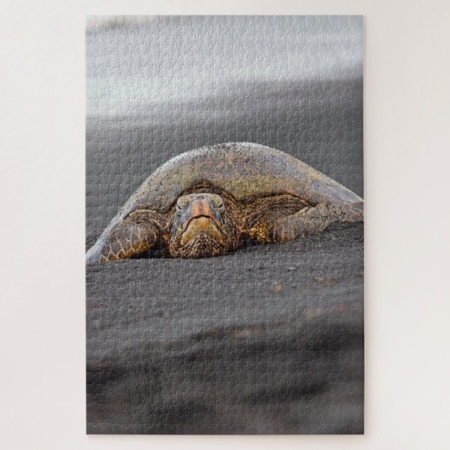 Quebra-cabeça Sea Turtle Black Sand Beach Hawaii - 20x30-1014 pc (Vertical)