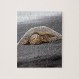 Quebra-cabeça Sea Turtle Black Sand Beach Hawaii 8x10 - 110 pc