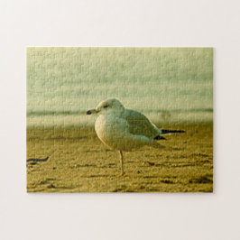 Quebra-cabeça - Seagull no Sunset