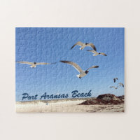 Seagull Photografia Bonito Port ArKansas Beach