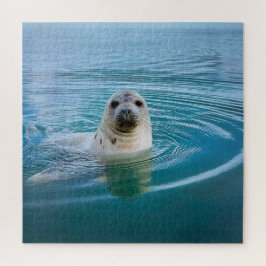 Quebra-cabeça Seal Pup Adventure