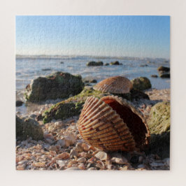 Quebra-cabeça Seashell na praia