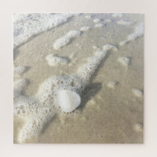 Quebra-cabeça Seashell Na Praia Nápoles, Flórida