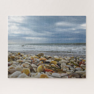Quebra-cabeça Seashells no litoral - 16x20 - 520 PCes