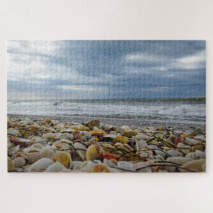 Quebra-cabeça Seashells no litoral - 20x30 - 1014 PCes