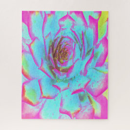 Quebra-cabeça Sedum Rosette Quente Rosa e Azul Suculente