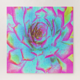 Quebra-cabeça Sedum Rosette Quente Rosa e Azul Suculente