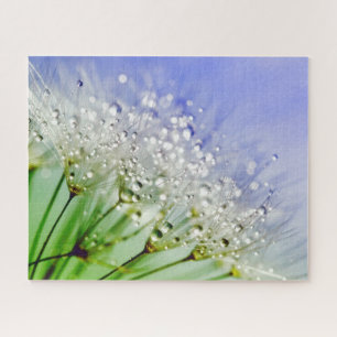Quebra-cabeça Sementes de Dandelion com Gotas de Dew