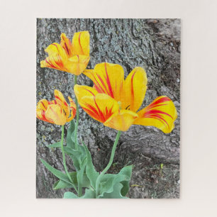 Quebra-cabeça Sequência de três tulipas amarelas /