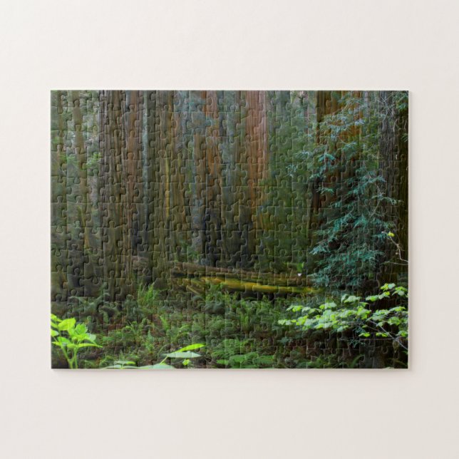Quebra-cabeça Sequóias em Muir Woods National Park (Horizontal)