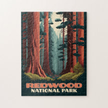 Sequoias National Park California Trees