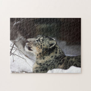 Quebra-cabeça Sereno Leopardo-das-Neves