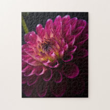 Série de flores de fecho: Dahlia