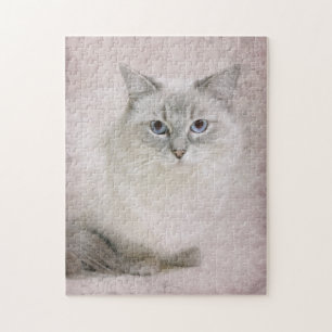Quebra-cabeça Serra de vaivém de Ragdoll