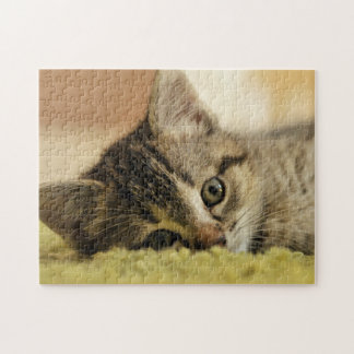Quebra-cabeça serra de vaivém do gatinho
