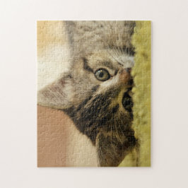 Quebra-cabeça serra de vaivém do gatinho