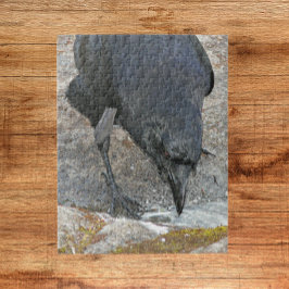 Quebra-cabeça Sesty Crow tomando uma bebida