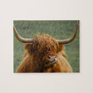 Quebra-cabeça Shaggggg Haired Scottish Highland Cow Nature Anima